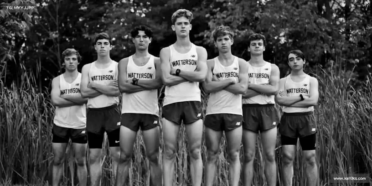 行业领先的理由